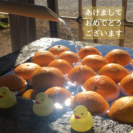 F2475A61-0CDC-414C-B54B-67A8E249C42E