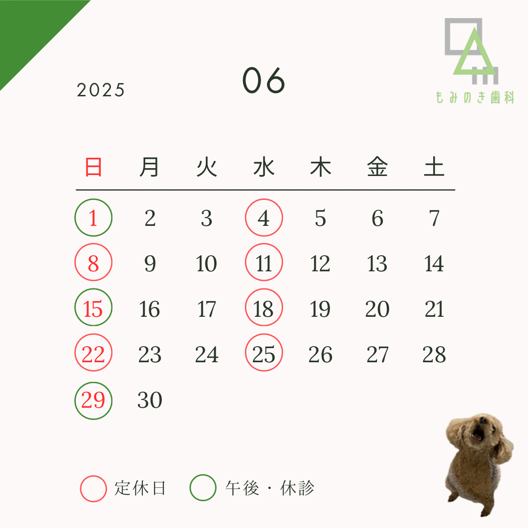 定休日